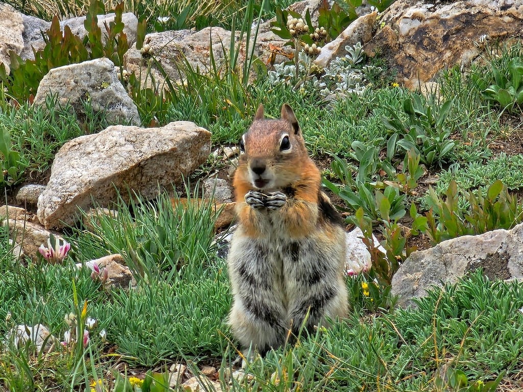 Excellent first 14er hike experience! review image 0