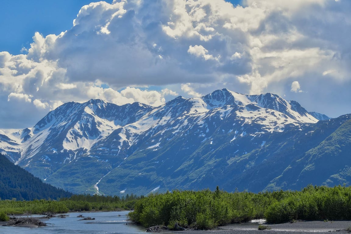 Our Local Expert’s Guide to Ship Creek image