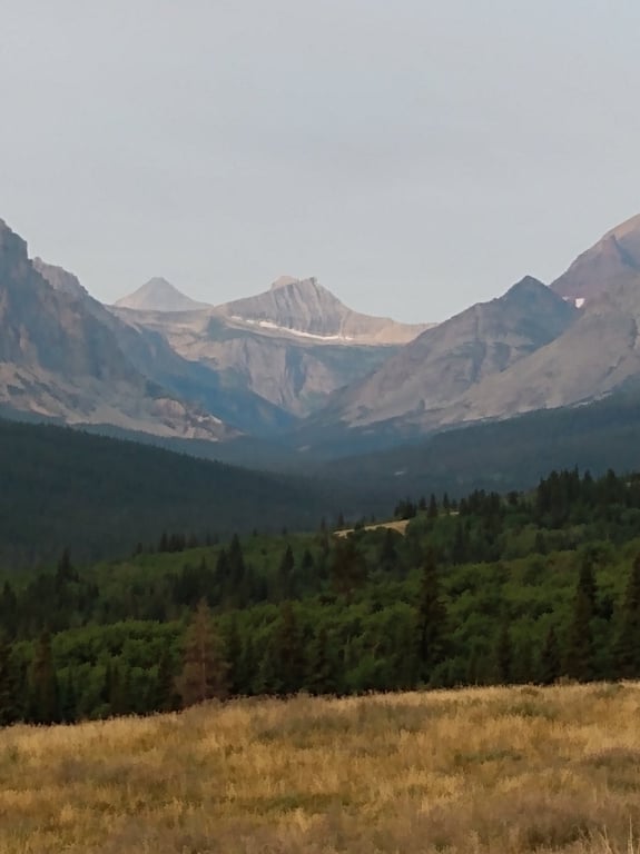 Great guide and tour, would recommend review image 0