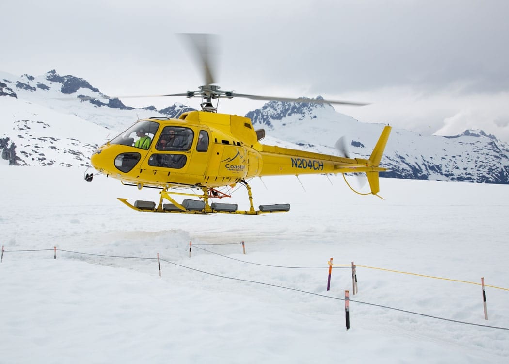 Helicopter Dogsledding with Extra Landing Tour Image 12
