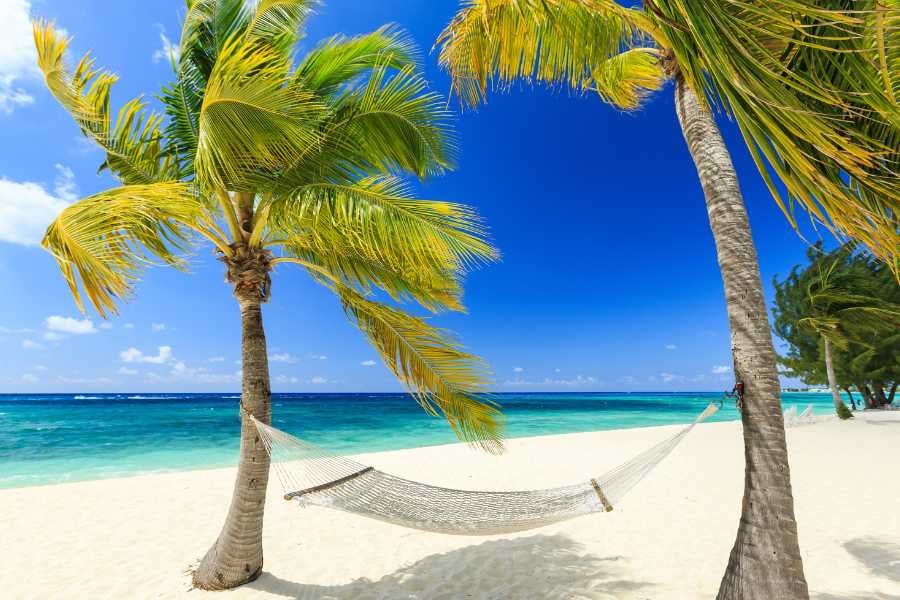 A hammock swings between two palm trees on a peaceful beach.