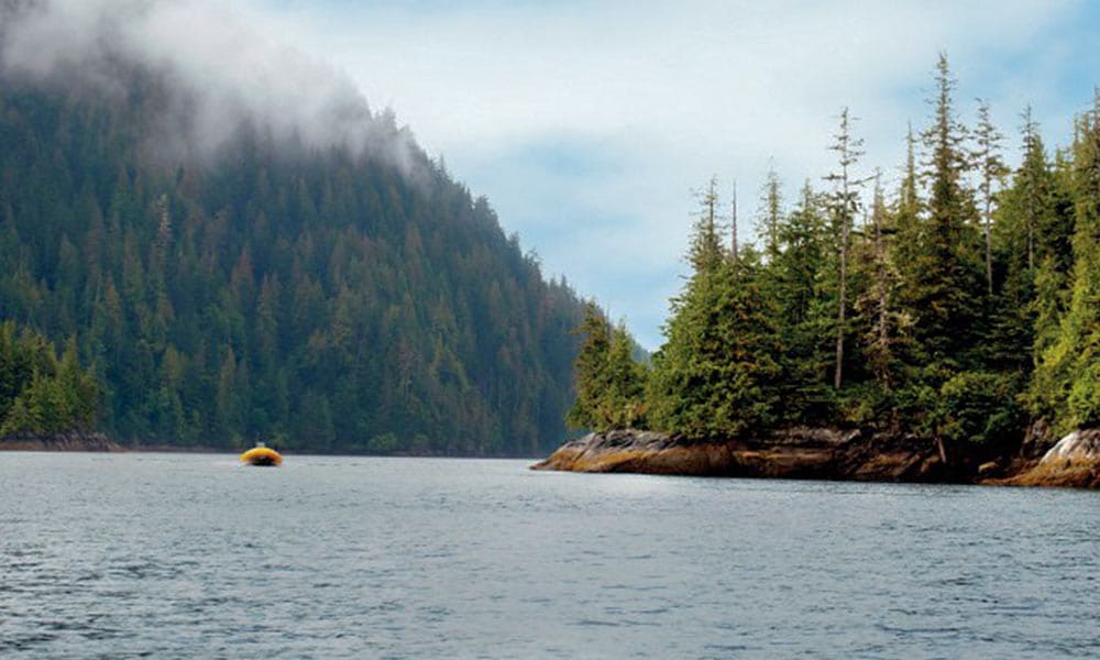 Rainforest Island Adventure Tour Image 2