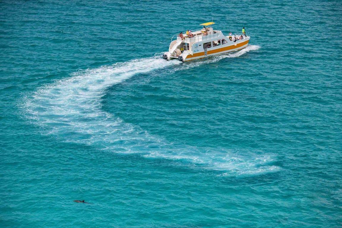 Turks & Caicos Snorkel Cruise image
