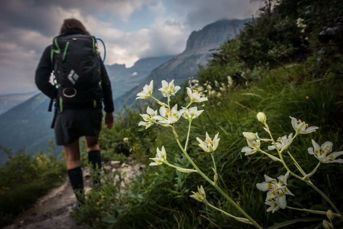 A hiker in Glacier National Park