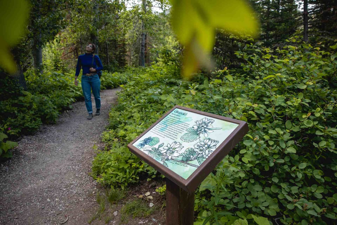 Private East Glacier Hike & Two Medicine Tour Image 3