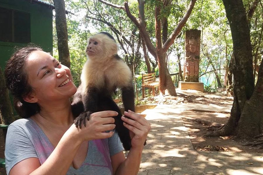 Sloths in Roatan