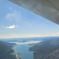 Incredible Flight review image 0