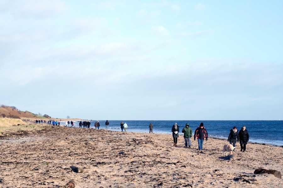 People walk along a sandy beach with some seaweed and a cool breeze.