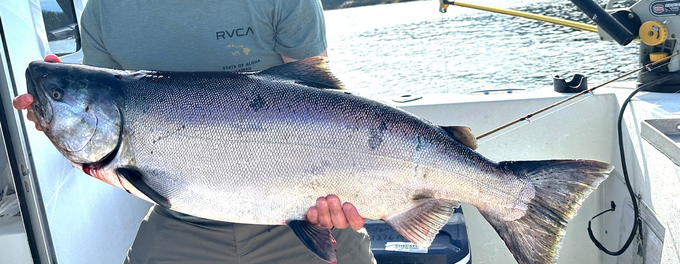 Sitka Salmon Fishing Tour Image 6