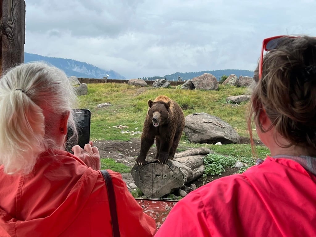 Montana Grizzly Encounter image