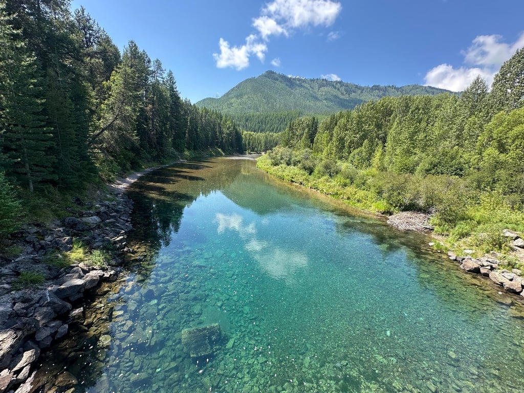 Private West Glacier Scenic Driving Tour Tour Image 4