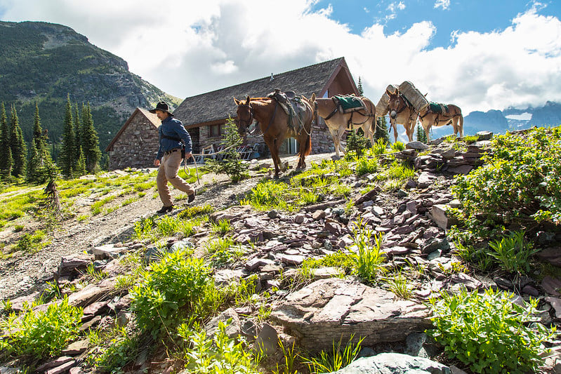 Guide leading horses