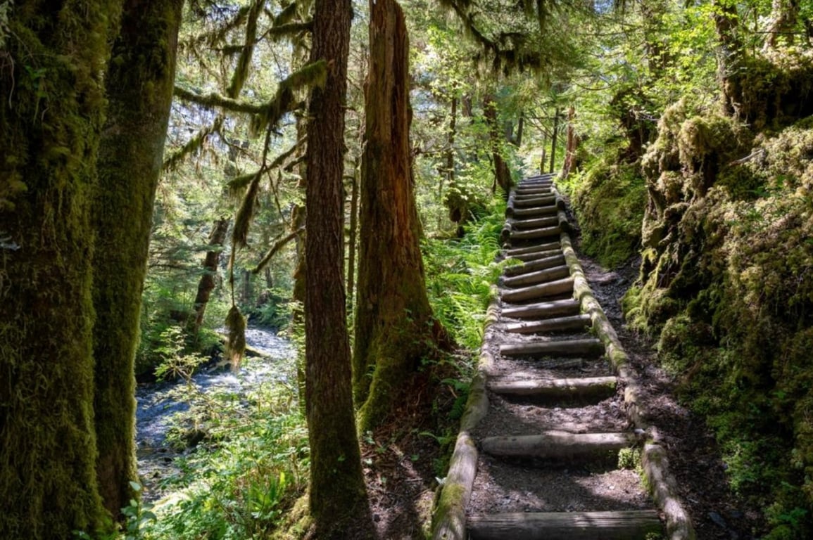 Private Old-Growth Creek Hiking Tour Tour Image 3
