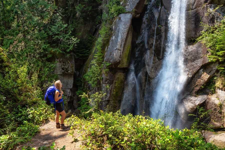 A Hiker observes a powerful waterfall nestled within a lush forest landscape.