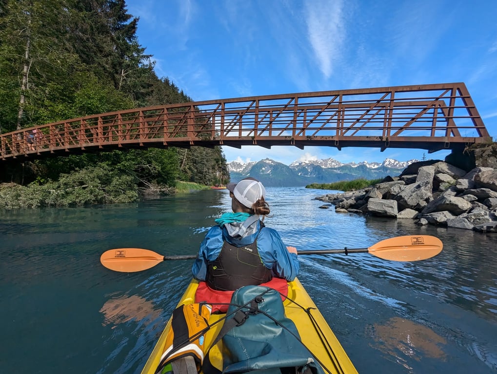 Discover the Wonders of Chugach National Forest with Alaska Shore Tours