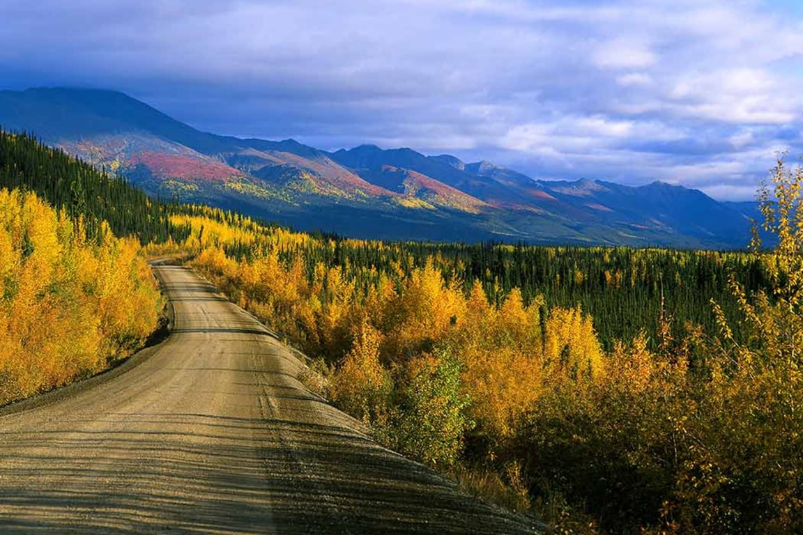 Yukon Discovery Tour Image 8
