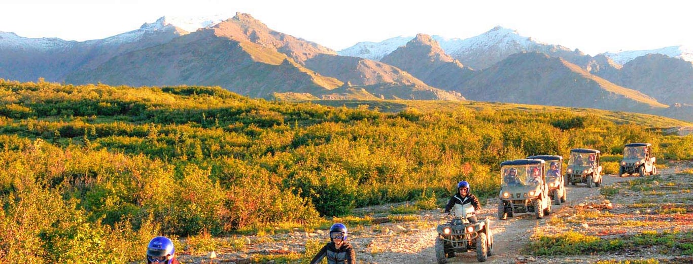 Best Denali Excursions & Tours with Denali Shore Tours