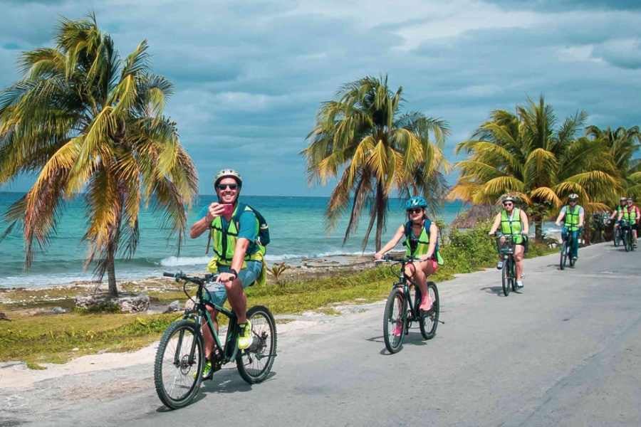 A group of bikers rides along a scenic ocean road, enjoying the tropical breeze and stunning palm trees.