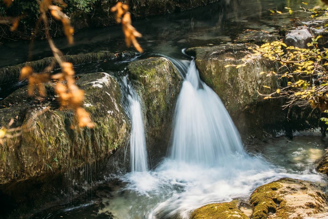 Nature in Nashville image