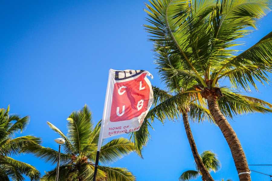 A flag flies high on a sunny beach, with palm trees swaying in the breeze and the sea behind.