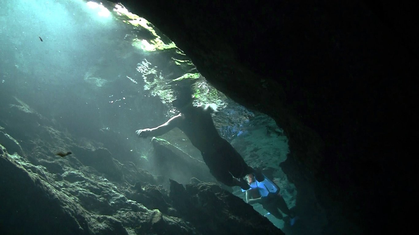 Private Cancun Caves & Rappelling Tour Tour Image 6