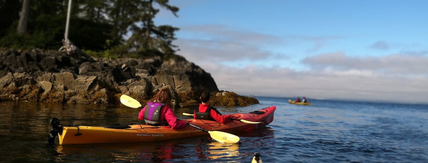 Ketchikan Kayak Eco Tour image