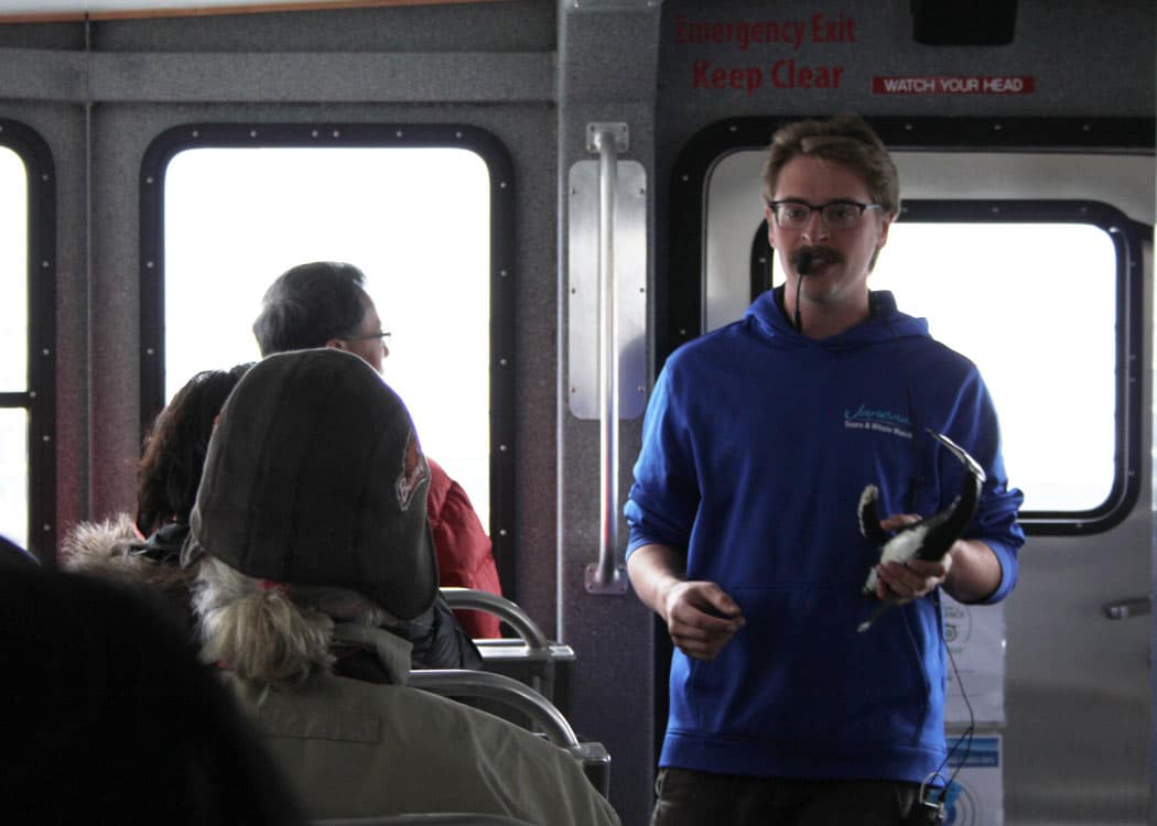 Whale Watching & Mendenhall Glacier Tour Tour Image 23