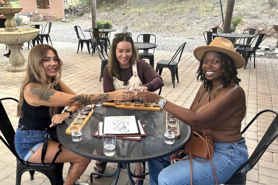 A happy group of women toasts together during a sunny day of sampling drinks.