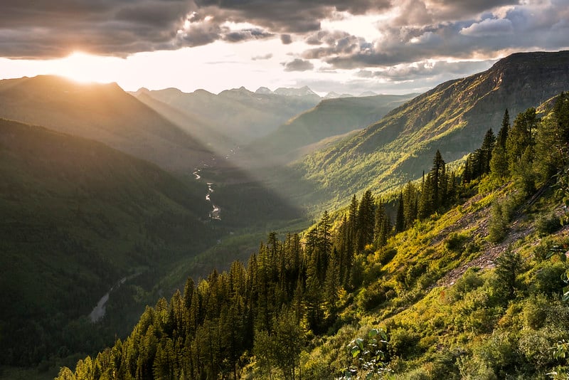 Going to the Sun Road in Golden Hour Light