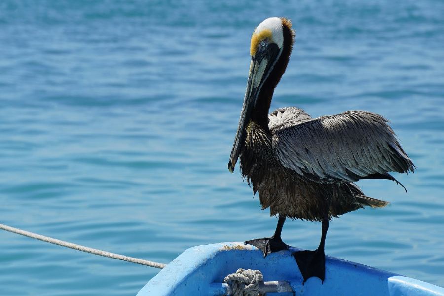 Our Favorite Things to Do & See in Isla Mujeres