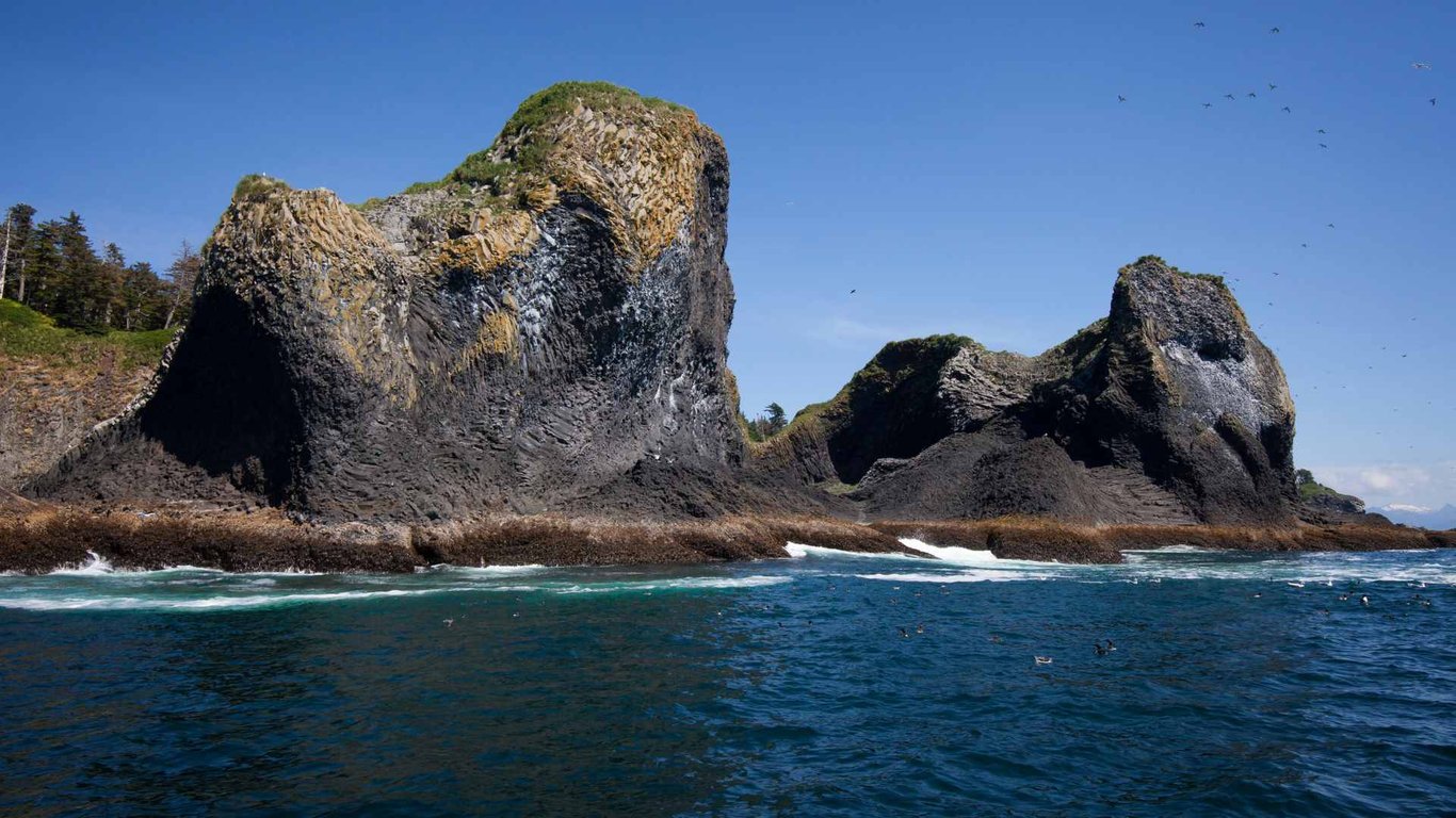 Private Wilds of Sitka Sound Expedition by Boat Tour Image 3