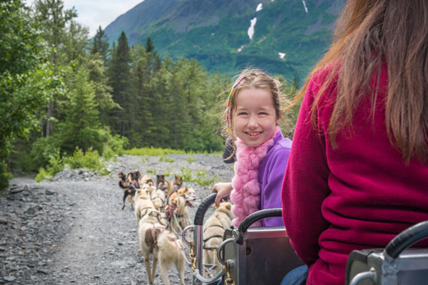 Seward Wilderness Dog Sled Ride & Tour Tour Image 2