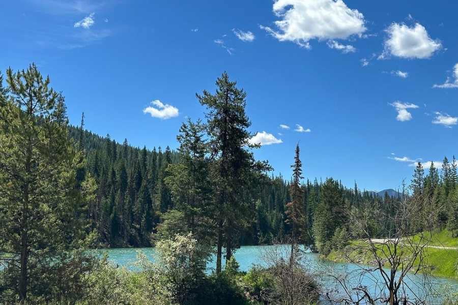 A tranquil river surrounded by lush greenery and a clear blue sky.