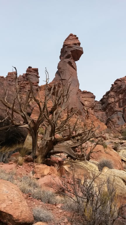 Desert Rock Climbing near Telluride - Full Day Tour Image 3