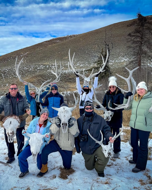 Winter Yellowstone Wildlife Safari image