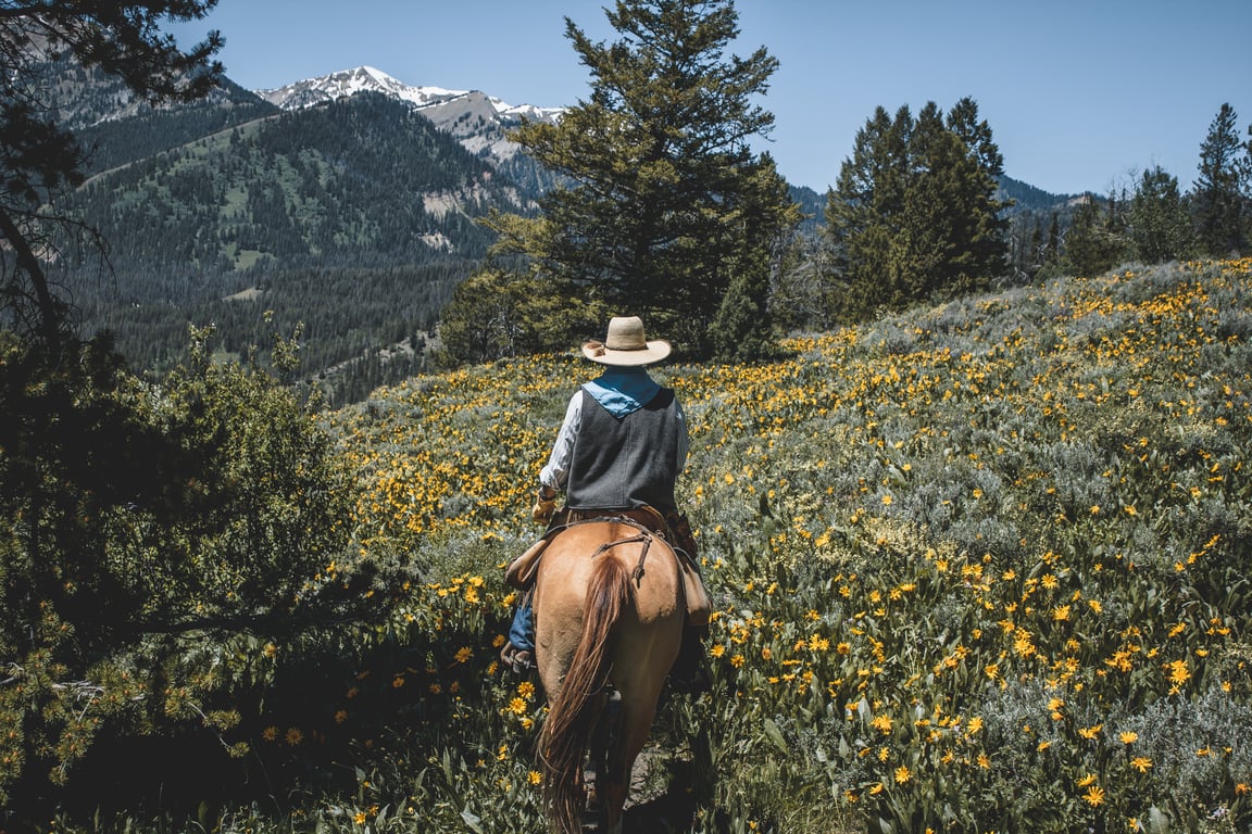 Private Horseback & Grand Teton Tour image