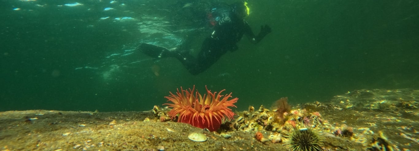 Mountain Point Snorkeling Adventure Tour Image 6