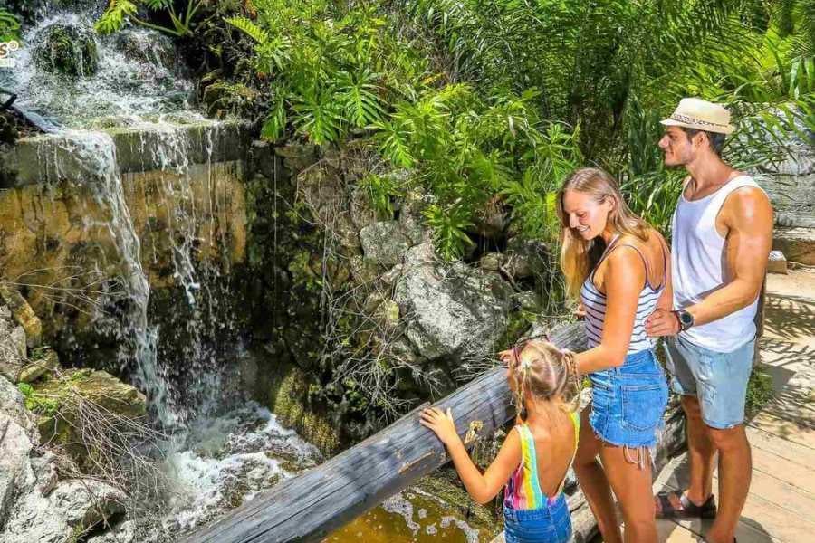 A family admires a small cascading waterfall in a lush, tropical nature park.