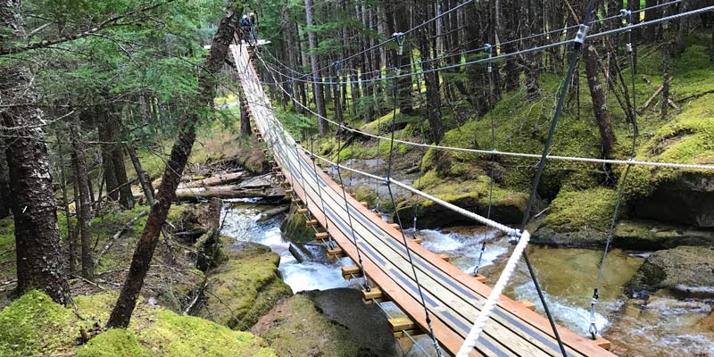 Which Alaska Zipline Tour is Right for Me?