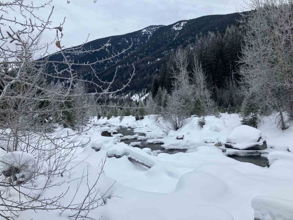 Glacier Park Full-Day Private Snowshoe Tour Tour Image 8