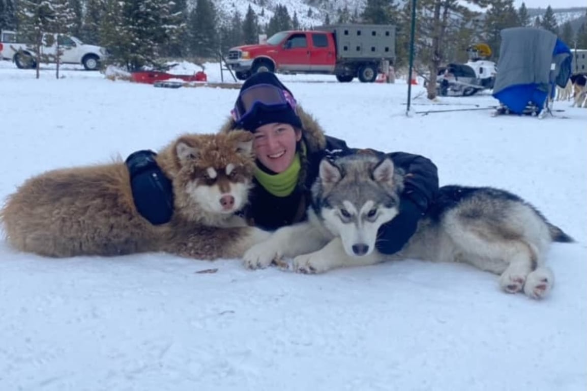 Yellowstone Dog Sled Experience Tour Image 6
