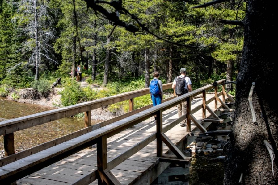 Hikers cross a wooden bridge over a peaceful stream in a shady forest.