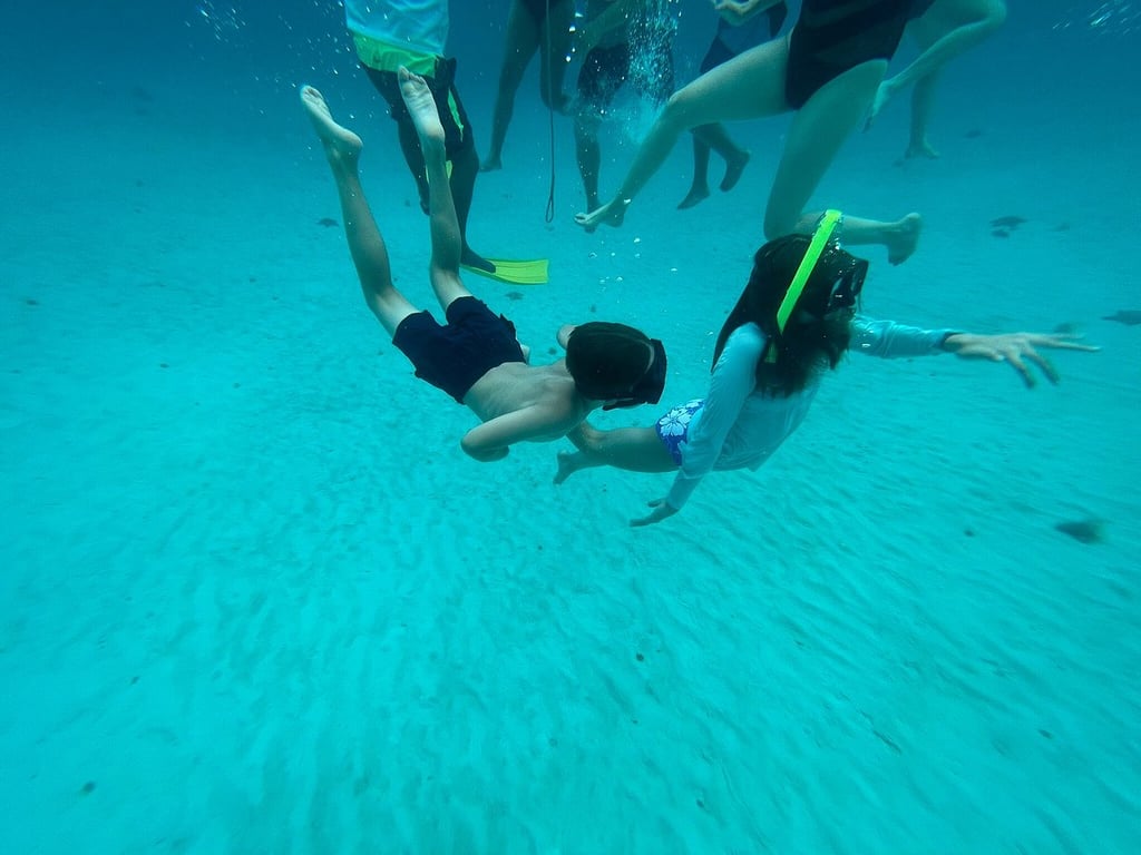 Best snorkeling I’ve ever done with my family! review image 0