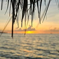 Sunset cruise review image 1