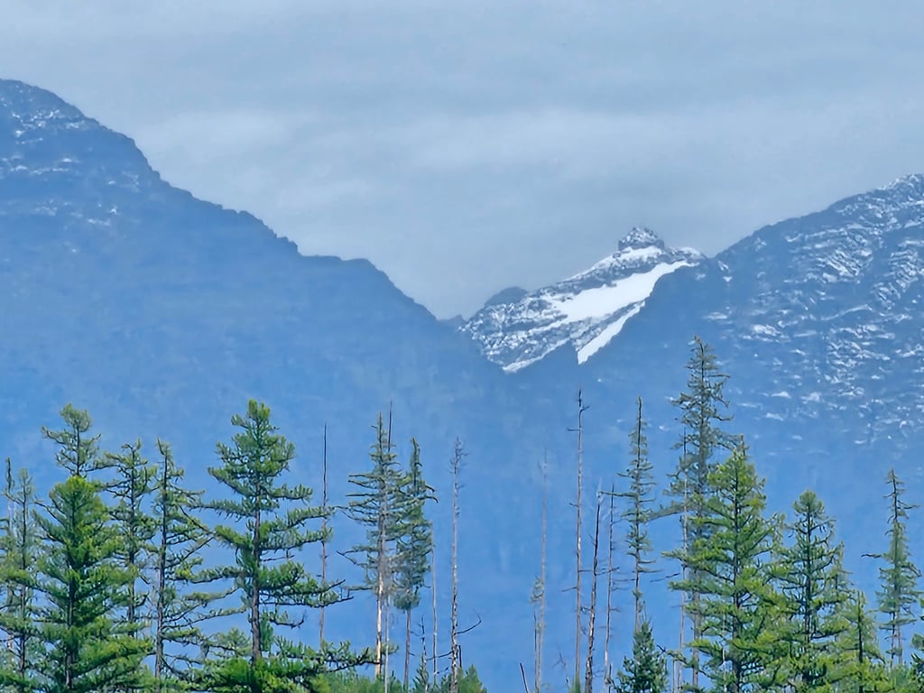 Glacier Park Tour review image 0