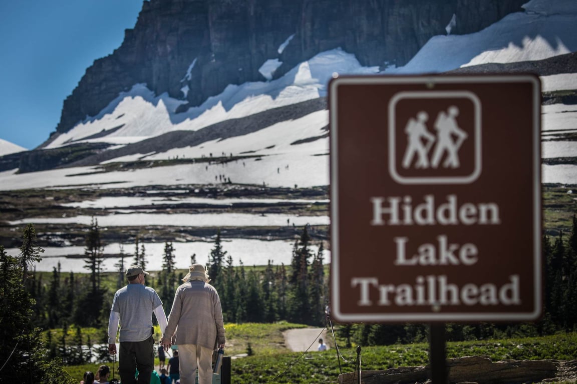 Hidden Lake Guided Day Hike In Glacier National Park Tour Image 8