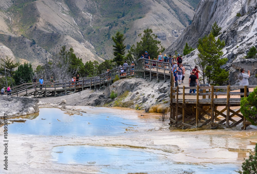 Private Yellowstone Lower Loop Tour Tour Image 4