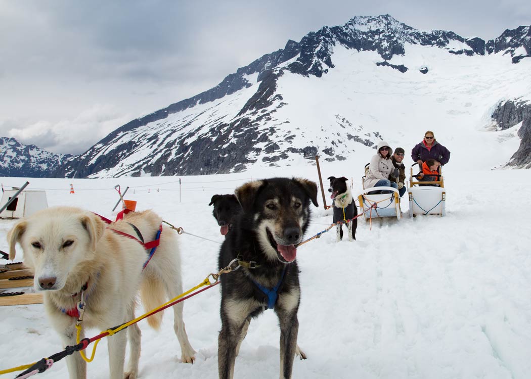 Helicopter Dogsledding with Extra Landing Tour Image 8
