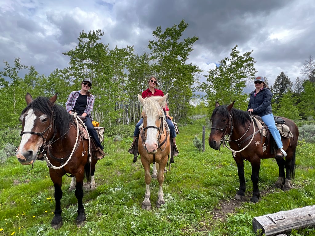 Private Horseback & Grand Teton Tour Tour Image 4