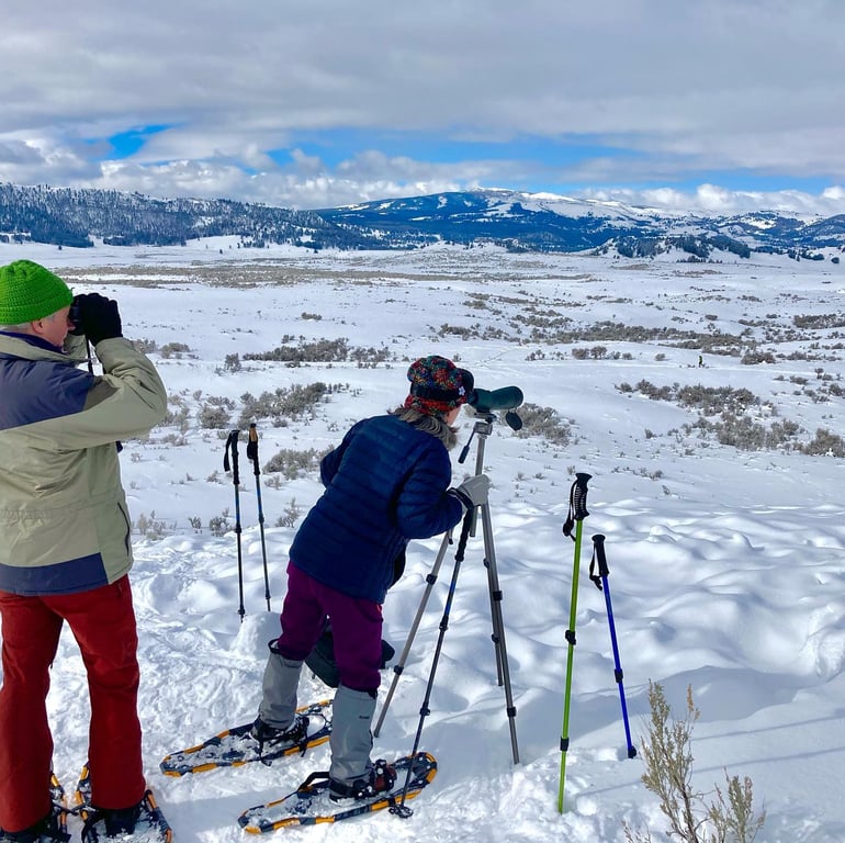 Winter Yellowstone Snowshoe Safari Tour Image 4